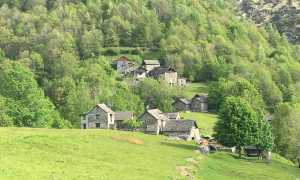 211380490 3617912031767793 8964404783308160942 n