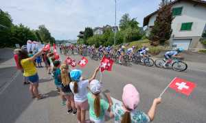 52986443336 399c4f8fba o