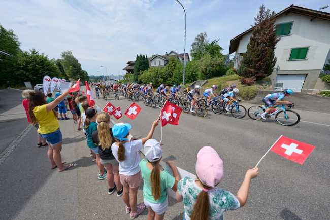 52986443336 399c4f8fba o