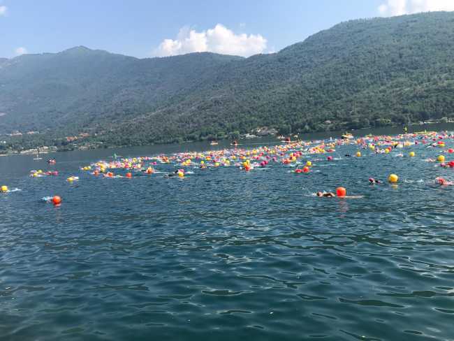 67075957 10214215308246730 5444170849282162688 n