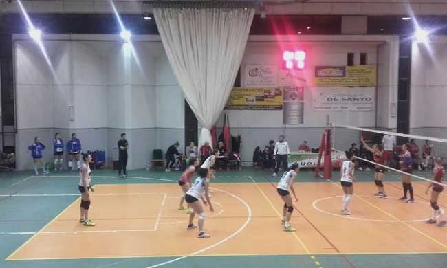 Palzola Pavic Caselle 1