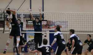 Poli opposti volley