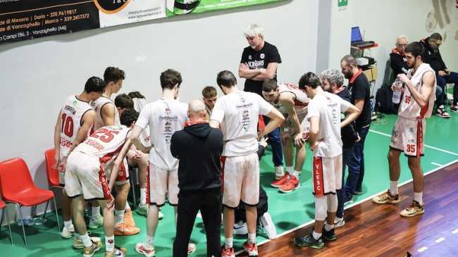 Squali time out nuovo