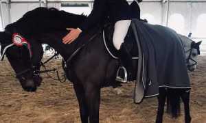 WhatsApp Image 2019 01 28 at 09.23.22