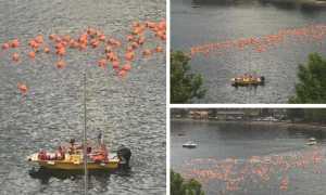 WhatsApp Image 2019 06 22 at 11.11.14