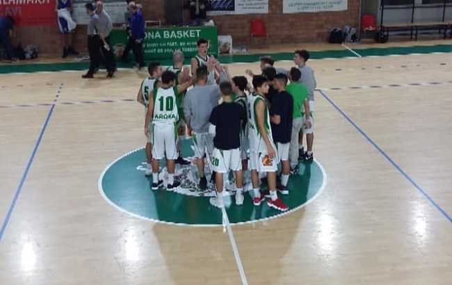 arona basket
