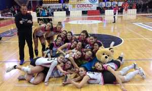 bear wool virtus biella