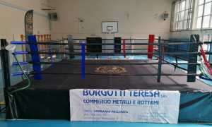 boxe vb ferrini