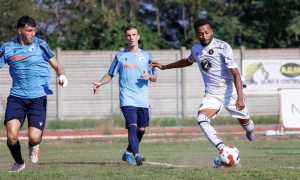 bule bellinzago foto azione