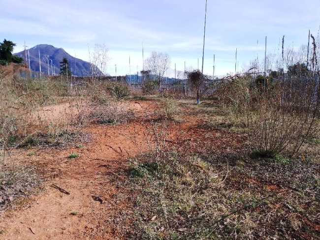 campi tennis intra co canottieri