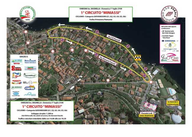 circuito miniassi pianta