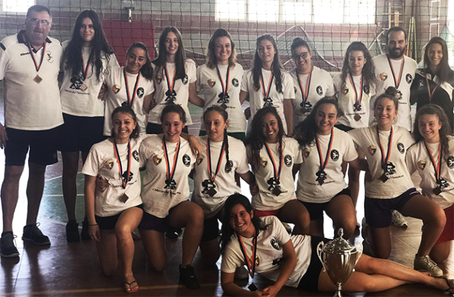 csi pallavolo piedimulera