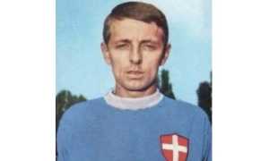 gavinelli novara