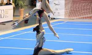 ginnaste funtastic gym