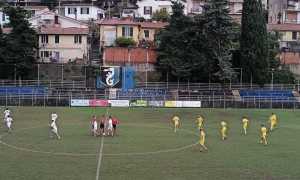 imperia novaromentin foto