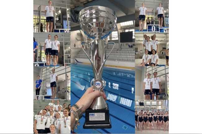 libertas sincro collage