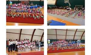 oleggio ginn twirl crystal