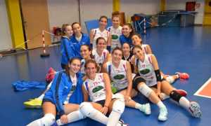 palzola pavic squadra