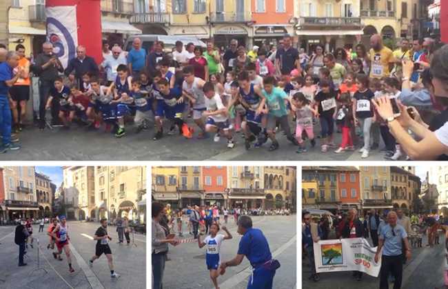 run for parkinson 19 mix domo