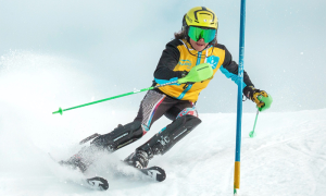 sci paletto speciale