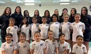 sincro reg 24