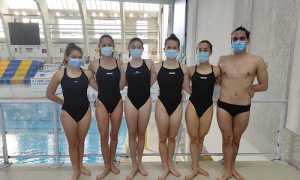 sincronette Libertas