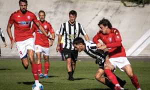 varese biellese