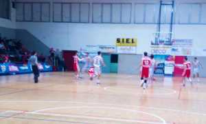 vinavil cipir collegno