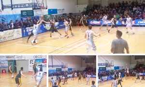 vinavil crocetta basket cipir mix