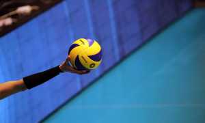 volleyball 4108495 640