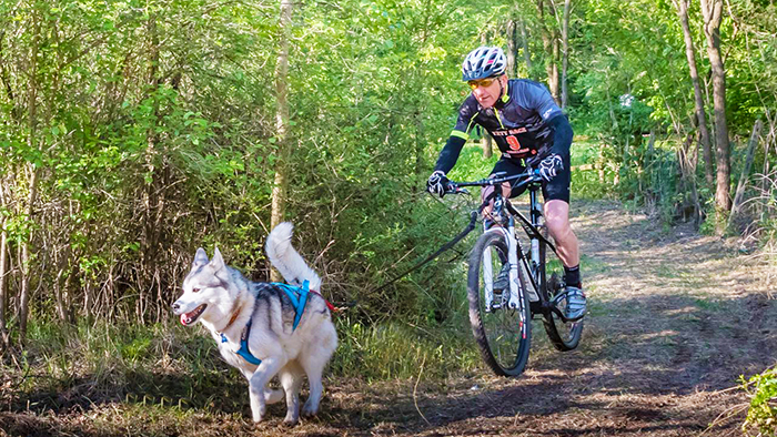 Appuntamento internazionale in Vigezzo: ad ottobre il XX Campionato Europeo Canicross e Bikejoring