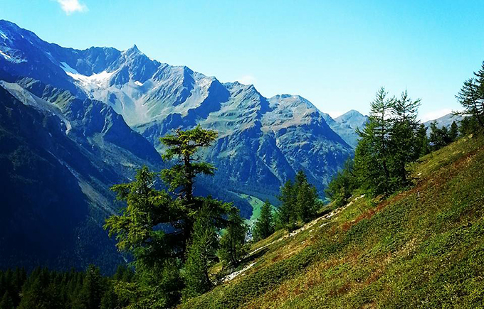 Al via la Grand Bϋcc Sky Race domenica a Trasquera