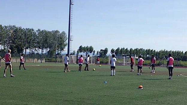 pro novara preparazione