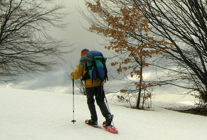Le classifiche della CIP in Valle Loana