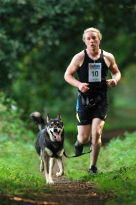 One of Akna K9 Academy runners with a CSv Wolfdog cross also owned by Akna K9 Academy