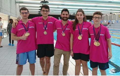 insubrika bellinzona